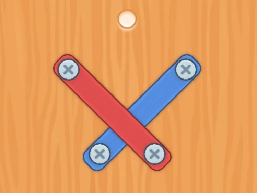 Nuts Bolts Screw Puzzle